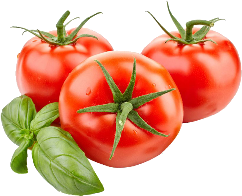 sauces-tomato